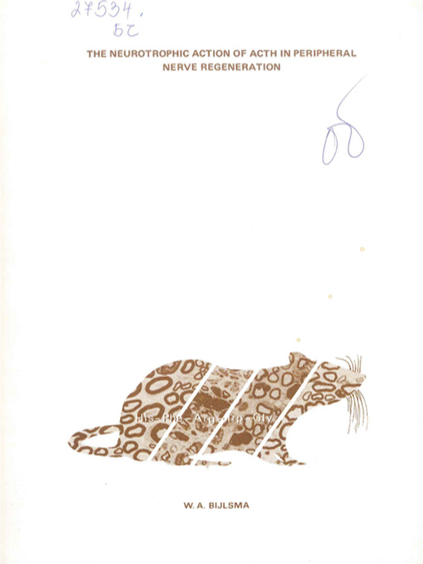 The neurotrophic action of acth in peripheral nerve regeneration