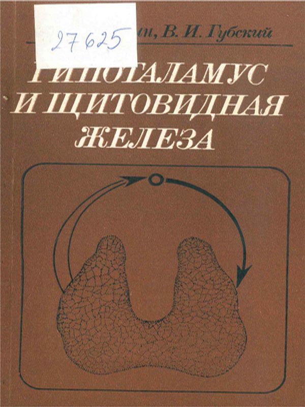 Гипоталамус и щитовиднай железа