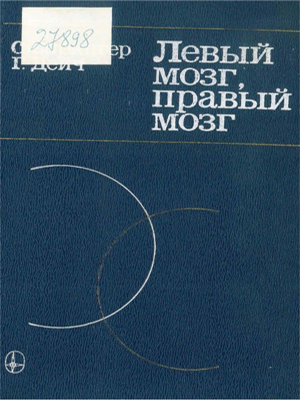 Левый мозг, правый мозг