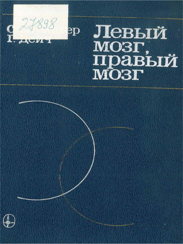 Левый мозг, правый мозг