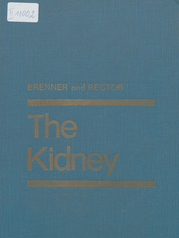 The kidney