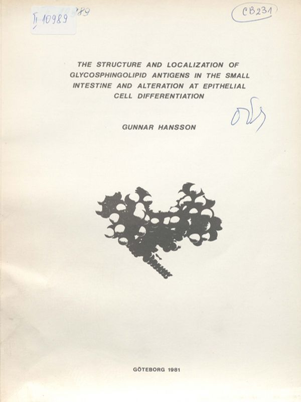 The structure and localization of glycosphingolipid antigens in the small intestine and alteration at epithelial cell differentiation
