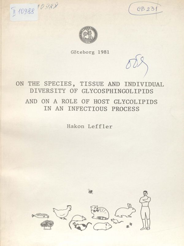 On the species, tissue and individual diversity of glycosphingolipids and on a role of host glycolipids in an infectious process
