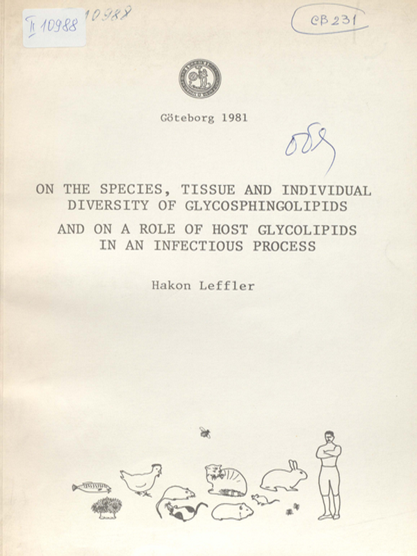 On the species, tissue and individual diversity of glycosphingolipids and on a role of host glycolipids in an infectious process