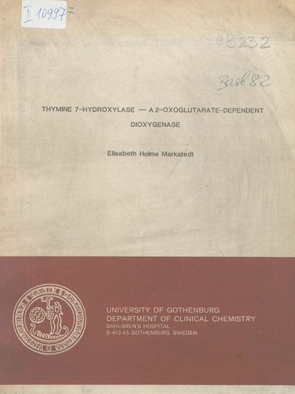 Thymine 7-hydroxylase-A 2-oxoglutarate-dependent dioxygenase