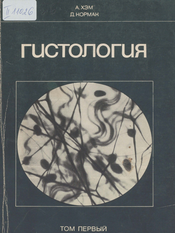 Гистология