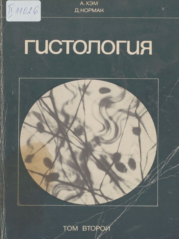 Гистология