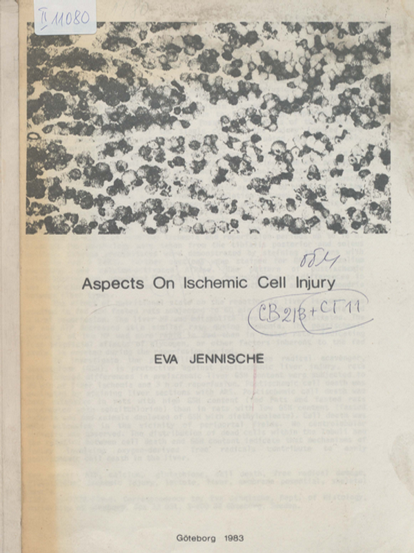 Aspect on ischemic cell injury