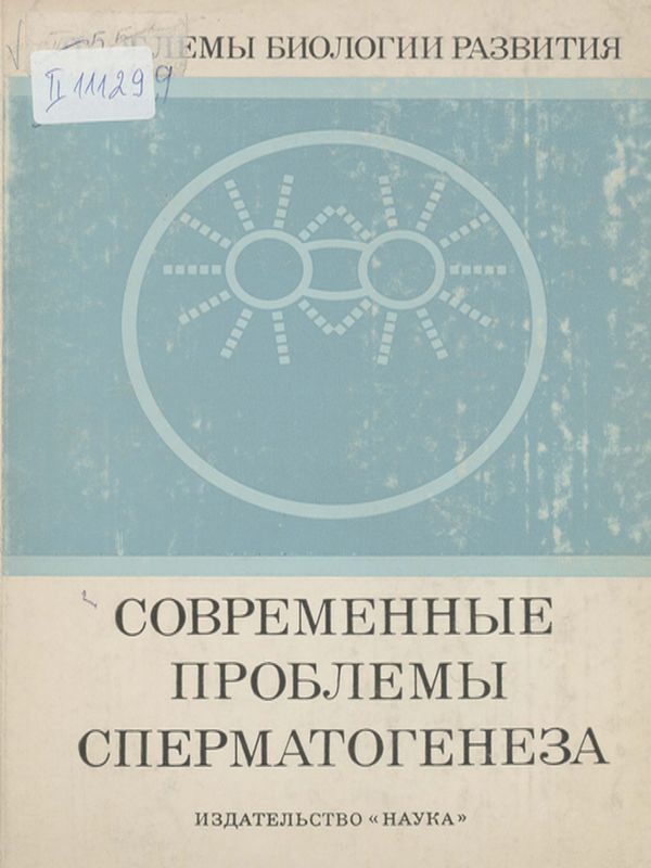 Современные проблемы сперматогенеза
