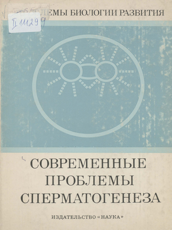 Современные проблемы сперматогенеза