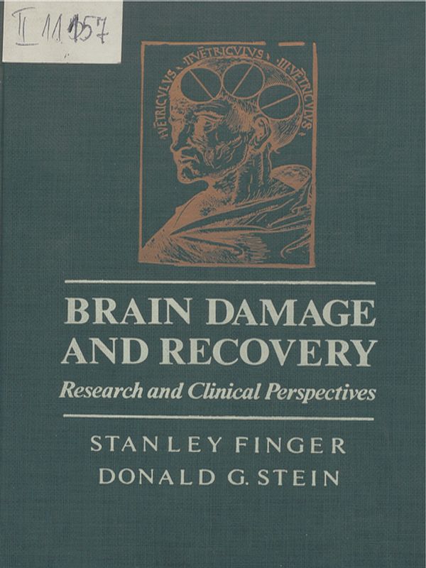 Brain damage and recovery