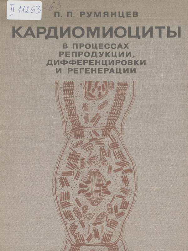 Кардиомиоциты в процессах репродукции, дифференцировки и регенерации
