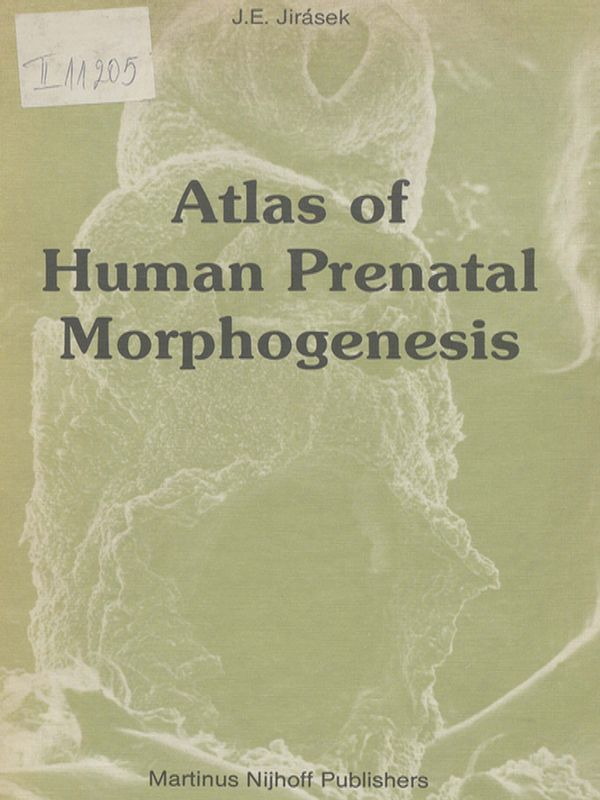 Atlas of human prenatal morphogenesis