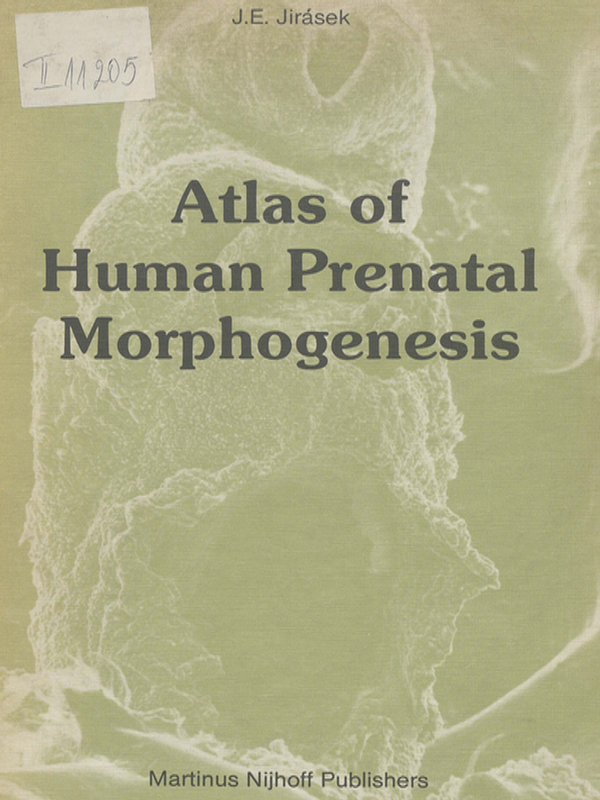 Atlas of human prenatal morphogenesis