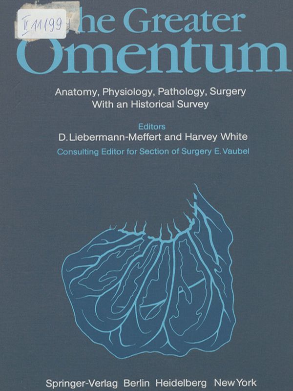 The greater omentum