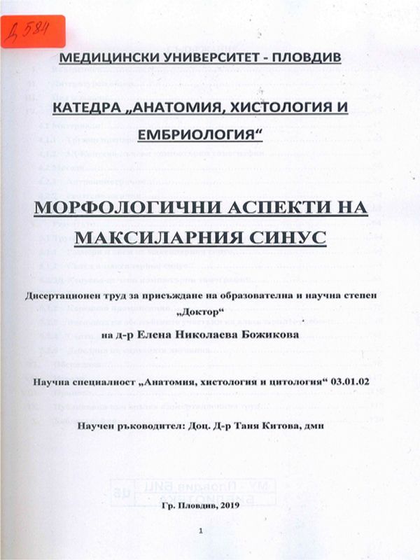 Морфологични аспекти на максиларния синус