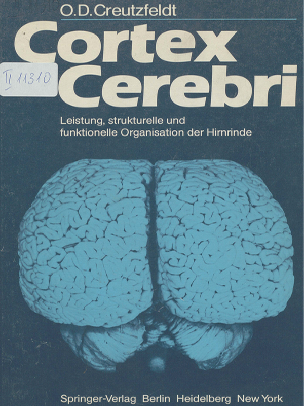 Cortex Cerebri