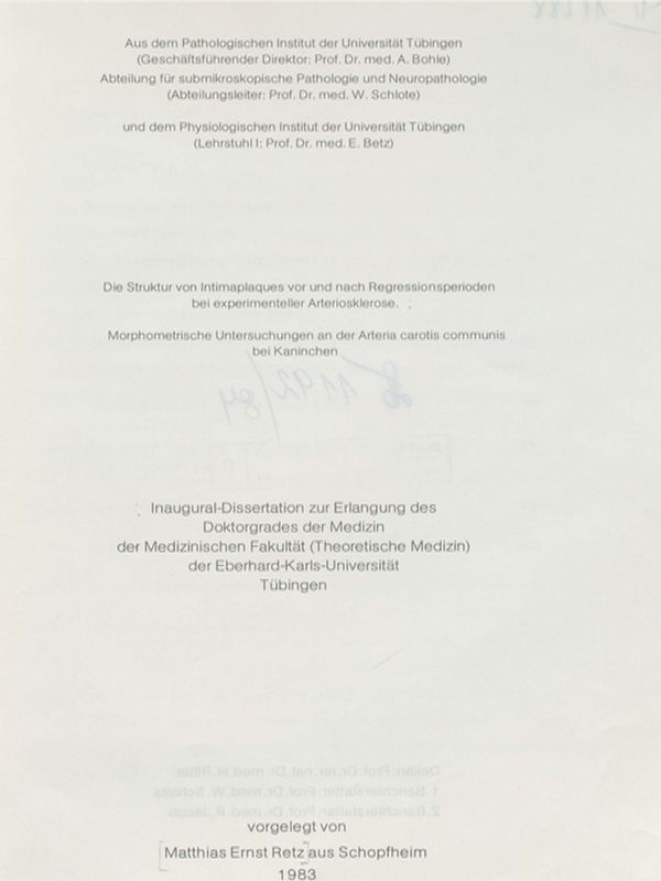 Die Struktur Intimaplaques von und nach Regressionsperioden bei experimenteller Arterosklerose