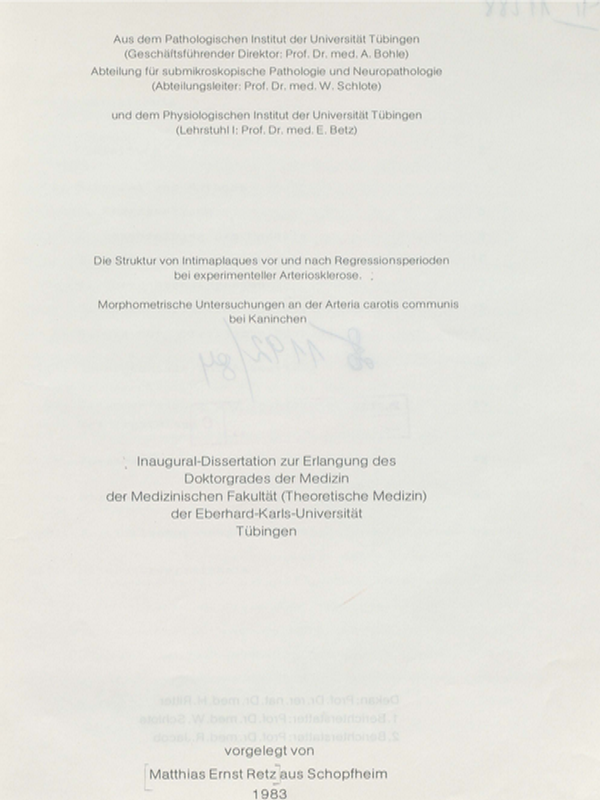 Die Struktur Intimaplaques von und nach Regressionsperioden bei experimenteller Arterosklerose