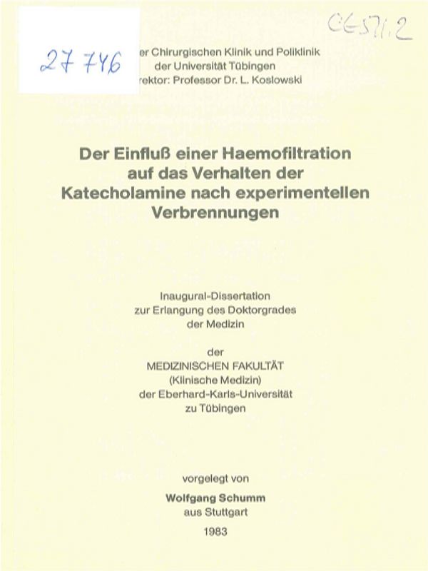 Der Einfluss einer Haemolfiltration auf das Verhalten der Katecholamine nach experimentellen Verbrennungen