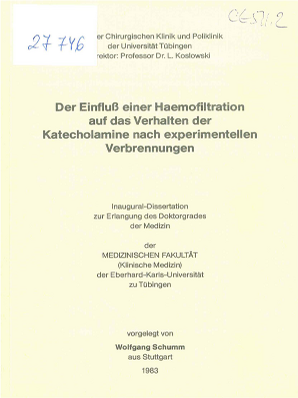 Der Einfluss einer Haemolfiltration auf das Verhalten der Katecholamine nach experimentellen Verbrennungen
