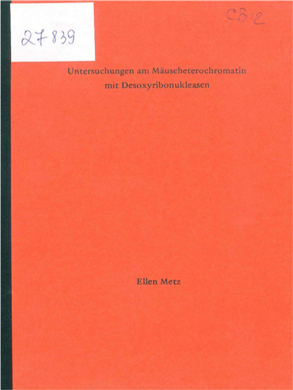 Untersuchungen am Mauseheterochromatin mit Desoxyribonukleasen