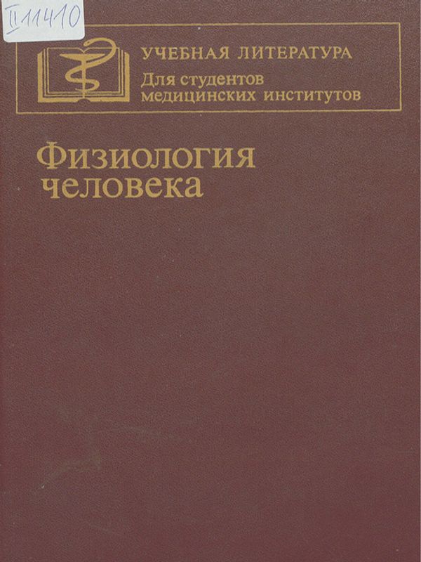 Физиология человека