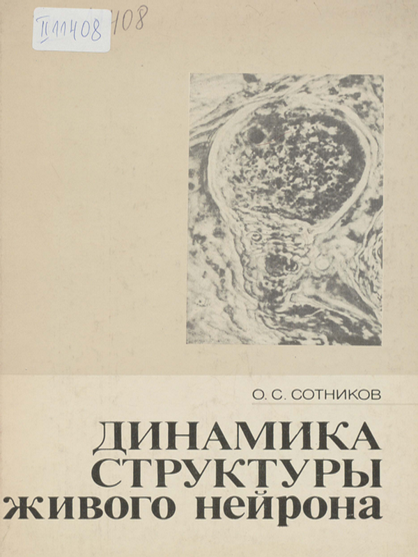 Динамика структуры живого нейрона