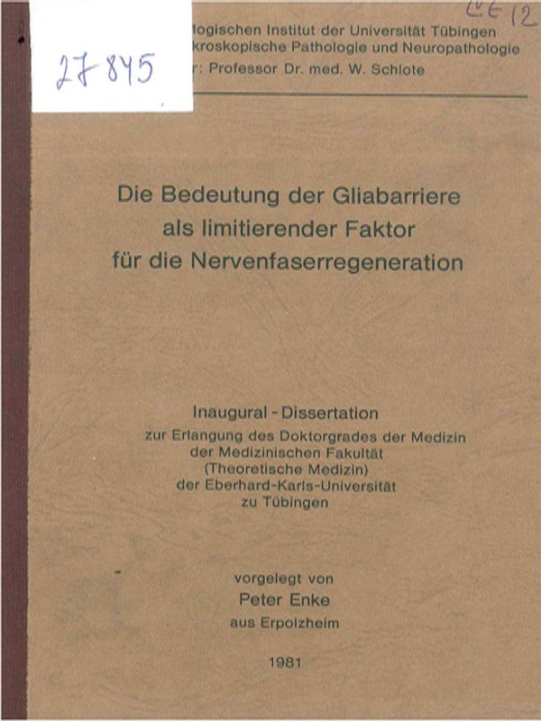 Die Bedeutung der Gliabarriere als limitierender Faktor fur die Nervenfaserregeneration