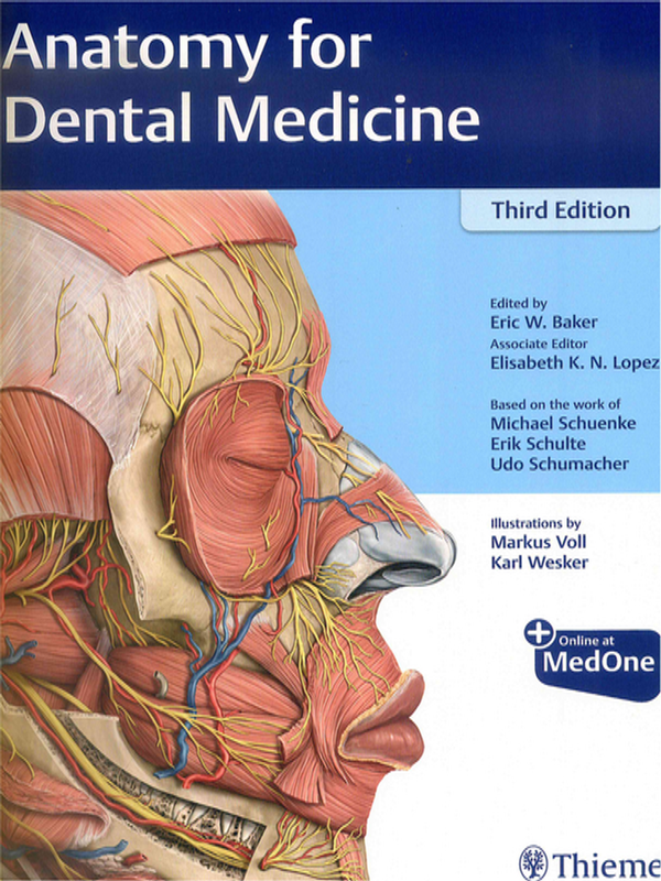 Anatomy for dental medicine