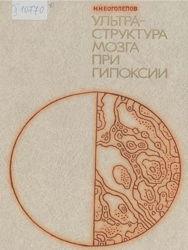 Ультраструктура мозга при гипоксии