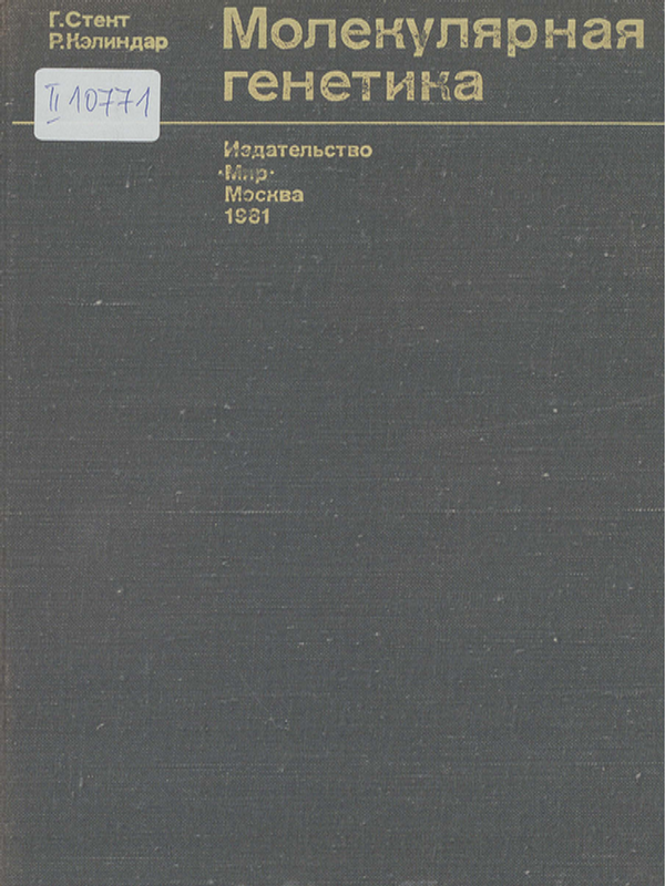 Молекулярная генетика