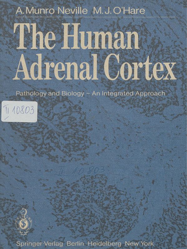 The human adrenal cortex