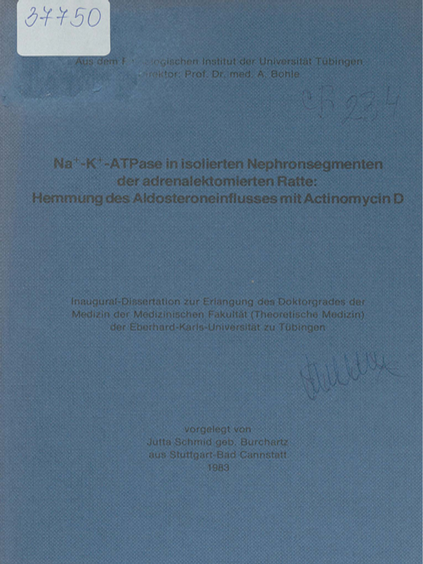 Na+-K+-ATPase in isolierten Nephronsegmenten der adrenalektomierten Ratte: Hemmung des Aldosteroneinflusses mit Actinomycin D