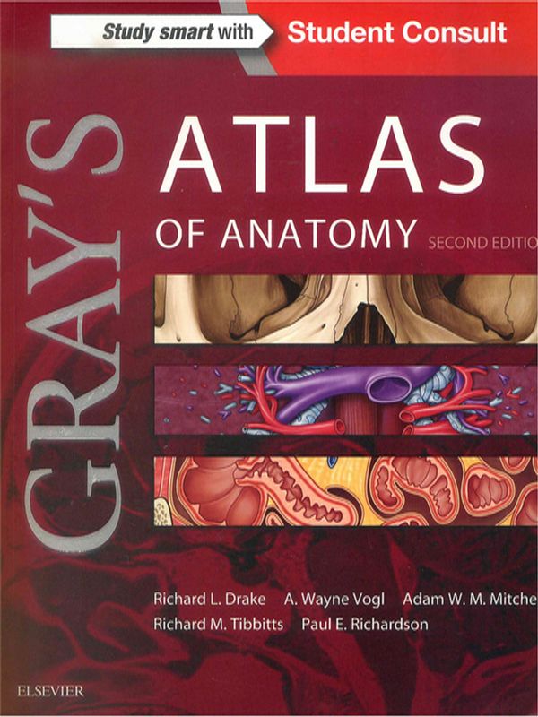 Gray`s atlas of anatomy