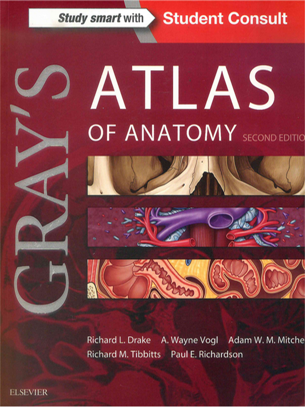 Gray`s atlas of anatomy