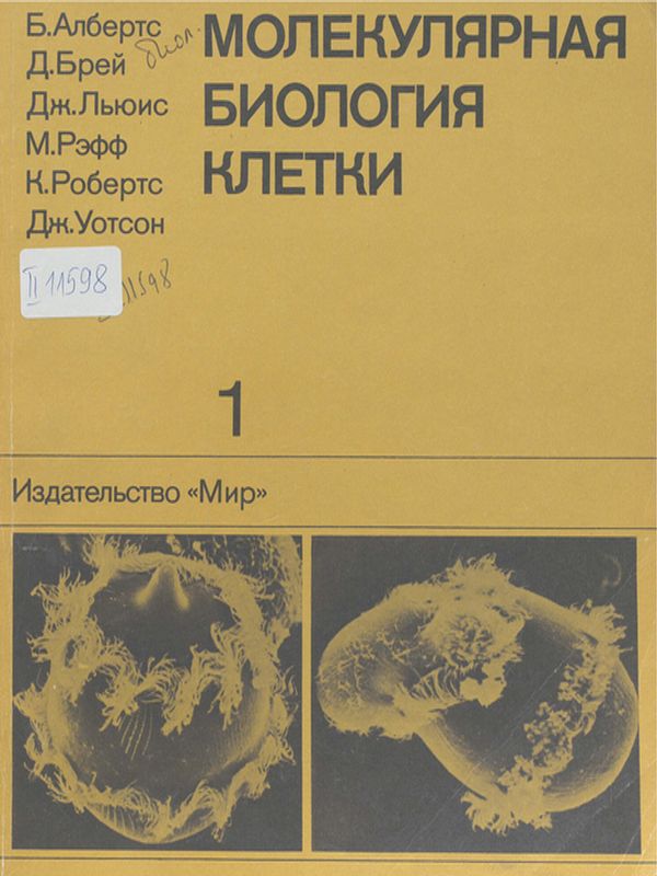 Молекулярная биология клетки