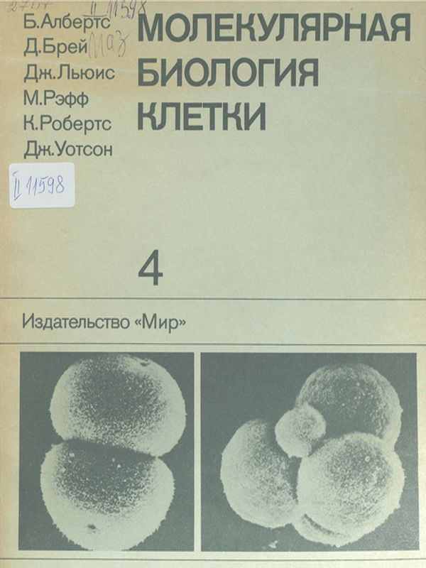 Молекулярная биология клетки