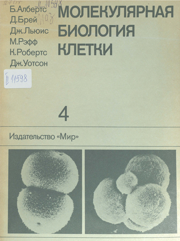 Молекулярная биология клетки