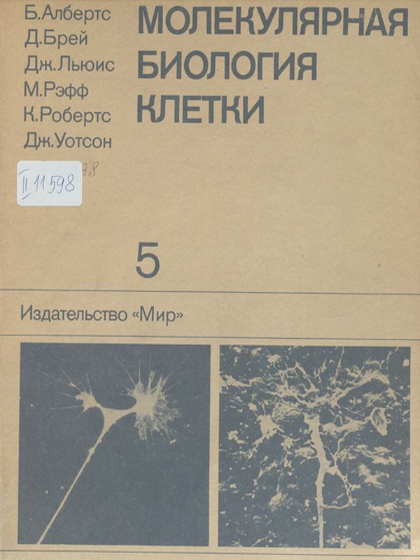Молекулярная биология клетки