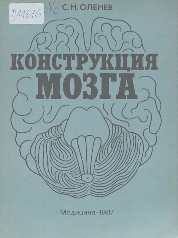 Конструкция мозга