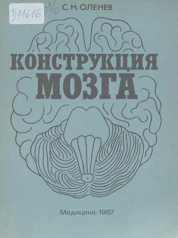 Конструкция мозга