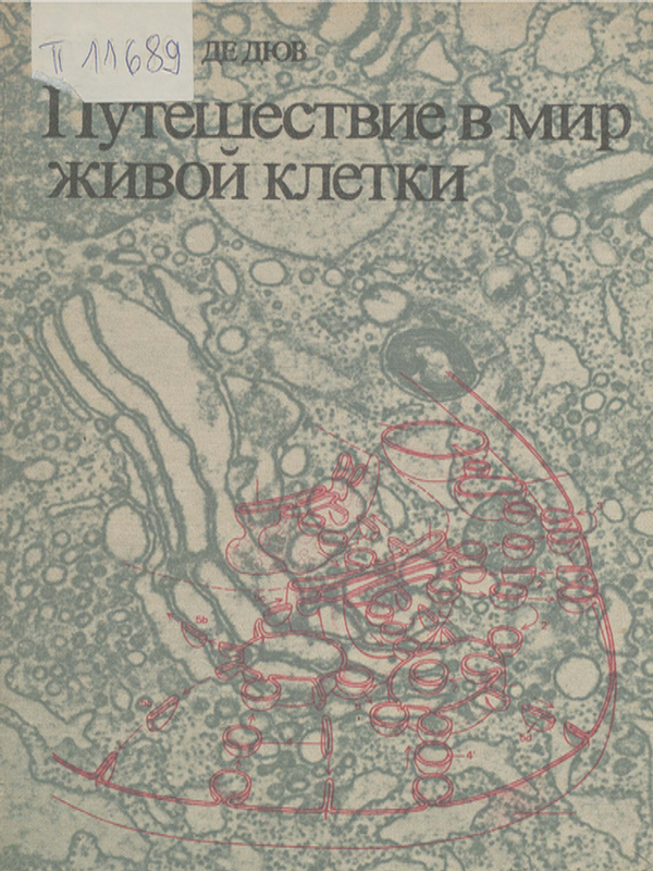 Путешествие в мир живой клетки