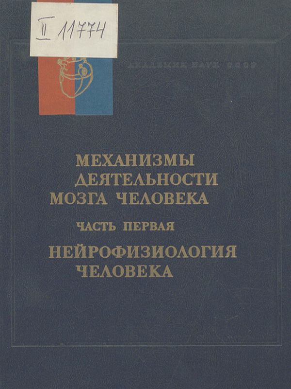 Механизмы деятельности мозга человека