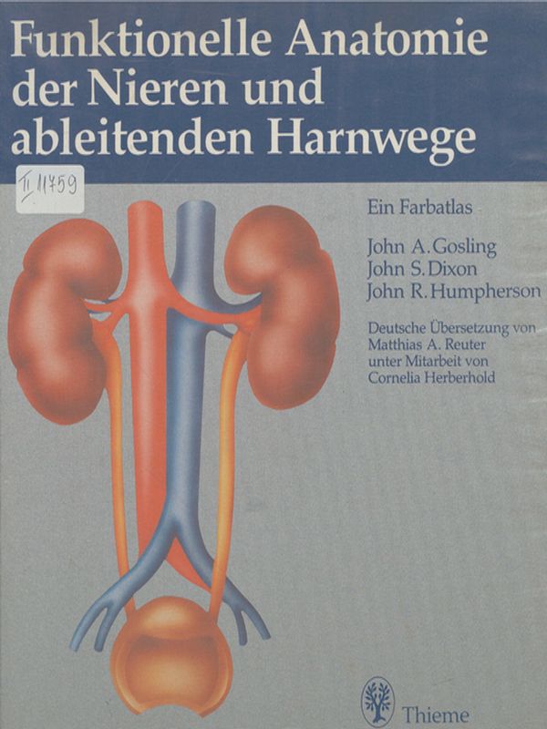 Funktionelle Anatomie der Nieren und ableitenden Harnwege