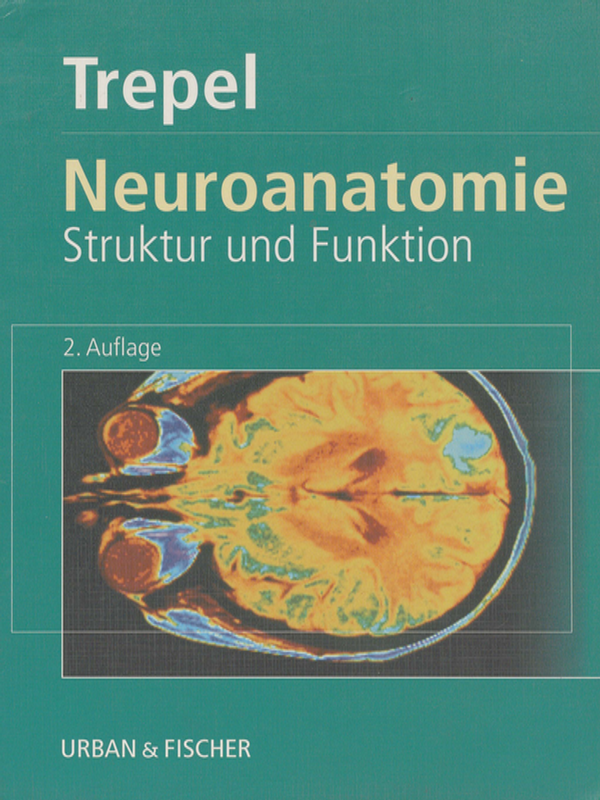 Neuroanatomie