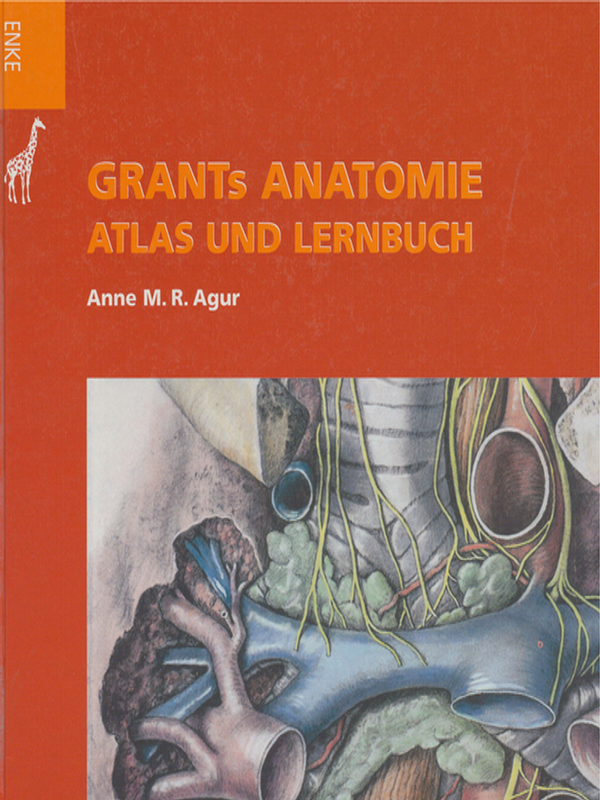 Grants Anatomie