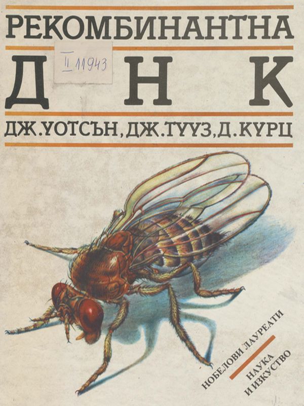 Рекомбинантна ДНК