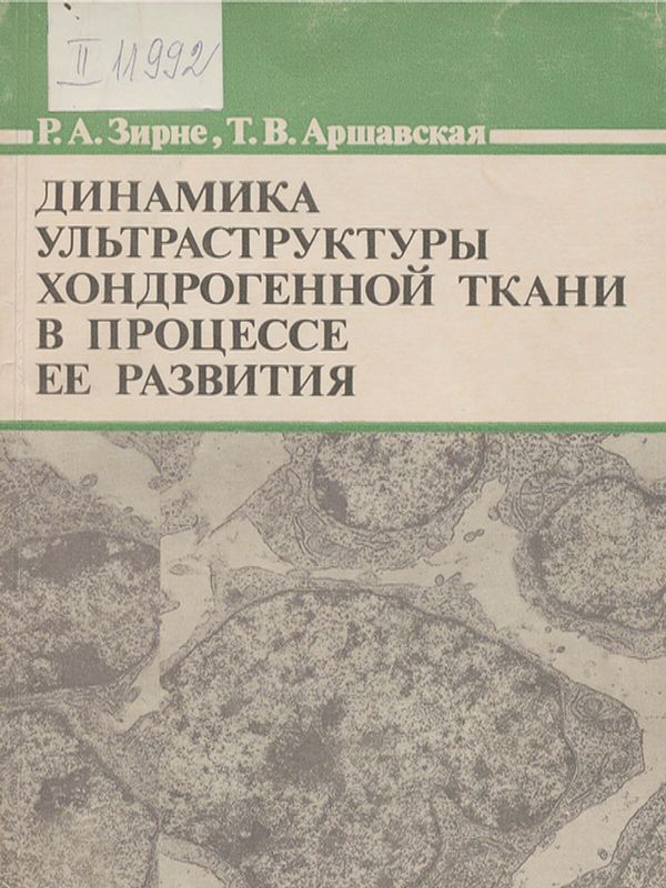 Динамика ультраструктуры хондрогенной ткани в процессе ее развития