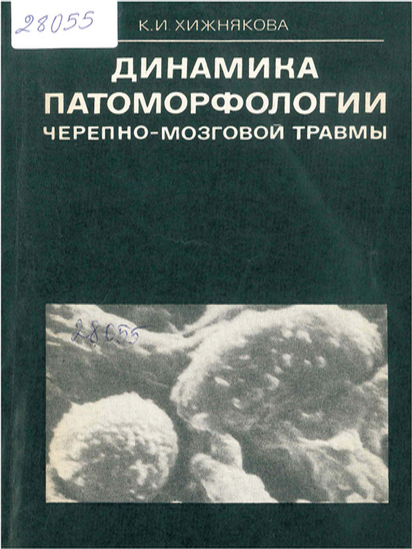 Динамика патоморфологии черепно-мозговой травмы
